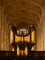Ansicht der Orgel und der Gewölbe