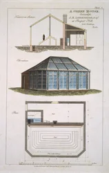 Entwurf für ein Gewächshaus, ausgeführt für J. E. Liebenrood in Prospect Hill