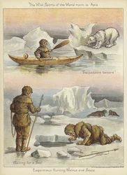 Eskimos jagen Walrosse und Robben