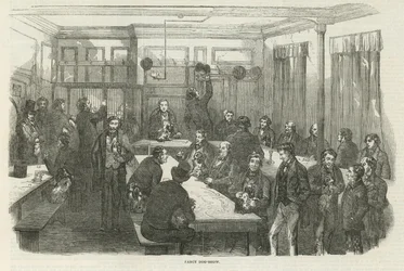 Hundeausstellung in der Denmark Street