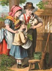 Das Kaninchen füttern