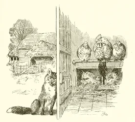 Fuchs vor dem Hühnerstall