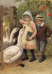 Gänse jagen Kinder wegen ihres Essens