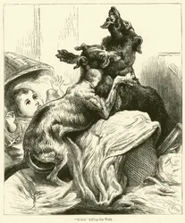 Gelert tötet den Wolf