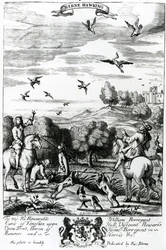 Herne beim Beizjagen, aus 