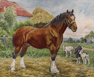 Pferd und Ziegen