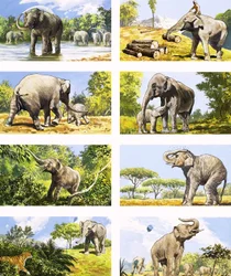 Wie ein Elefant seinen Rüssel benutzt