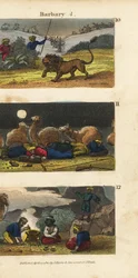 Löwenjagd in den Barbareskenstaaten, Kamele und Treiber schlafen in der Wüste und Araber laden Reisende zum Essen ein