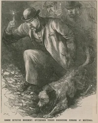 Jack the Ripper: Spitbergen Terrier entdeckt Überreste in Whitehall (Gravur)