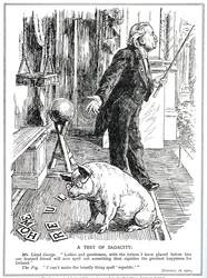 LLoyd George sieht sich der Opposition seiner Regierung des Irland-Gesetzes durch die Irische Republikanische Partei gegenüber, Februar 1920