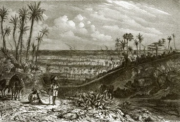Landschaft auf der Insel Kuba