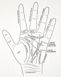 Linien der Hand