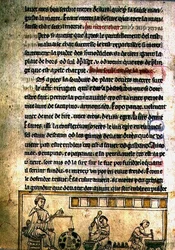 Ms.O.1.20.f.240r Eine Apothekerwerkstatt, aus 