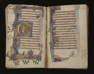 Ms 1-2005, ff.207v-208r: Jesaja betet, historisierte Initiale aus dem Macclesfield Psalter, Gebrauch von Sarum, Ostanglien, ca. 1330