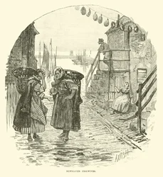 Newhaven Fischweiber
