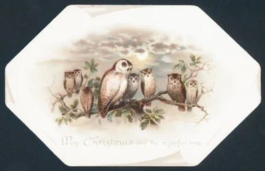 Eulen auf einem Ast, Weihnachtskarte