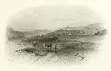 Philiphaugh