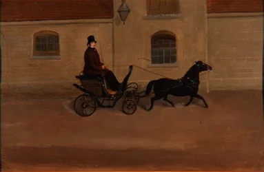 Pony und Falle
