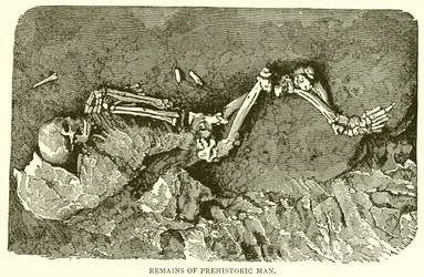 Überreste des prähistorischen Menschen