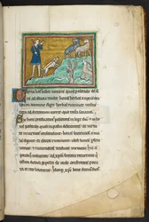 Ein Jäger oder Bauer mit Hunden, der Ziegen verfolgt, aus Bestiarium (ff. 3-141), Lapidarium (ff. 141v-149), 2. Viertel des 13. Jahrhunderts