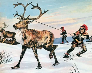 Rudolphs Nase ist nie rot