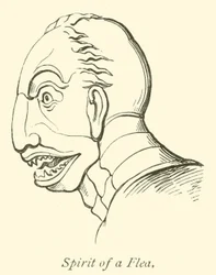 Geist eines Flohs