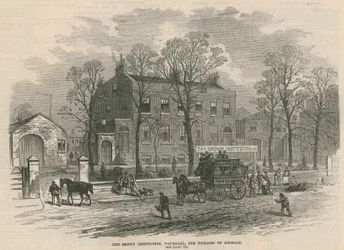 Die Brown Institution, Vauxhall, für Tierkrankheiten