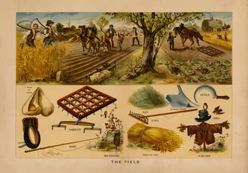 Das Feld