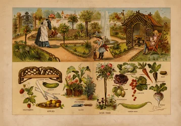 Der Garten