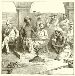 Der indische Pflanzentrick