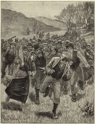 Die Agitation der Irish Land League