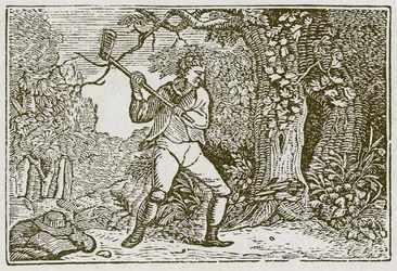Der Wald und der Clown (Gravur)