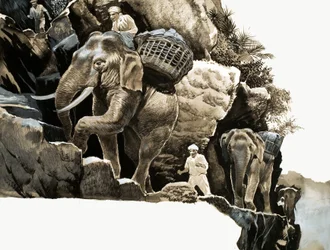 Die Elefantenwanderung von Elephant Bill