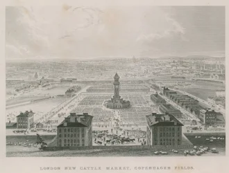 Der neue Metropolitan Viehmarkt, Copenhagen Fields, London