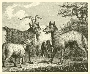 Der Wolf, das Lamm und die Ziege