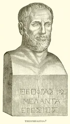 Theophrastos