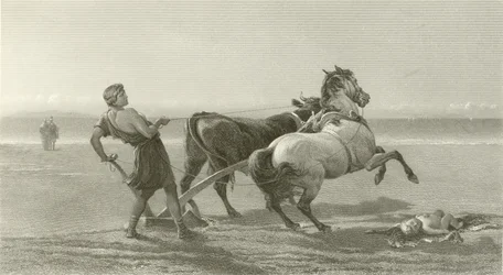 Odysseus pflügt die Küste (Gravur)
