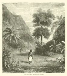 Tal im Inneren von Tahiti