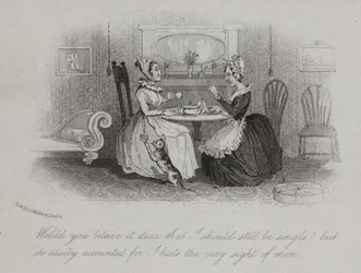 Viktorianische Jungfer erklärt den Grund für ihr Single-Dasein