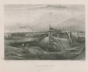 Westminster von den Chelsea Fields aus gesehen