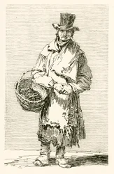 William Finlay