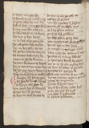 Vollseite: Text