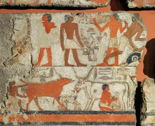 Wandmalerei aus dem Grab des Pharaos Metchetchi