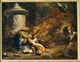 Stillleben mit Pfau und Hund …