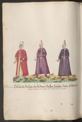 Der Serail der Sultanin: Eunuchen