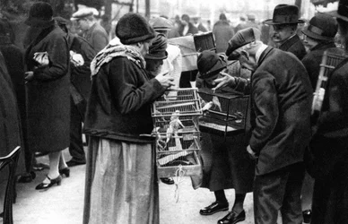 Eine Gruppe von Kanarienkäufern, Paris, 1931