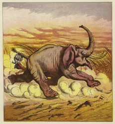 Jim Bold und ein wütender Elefant