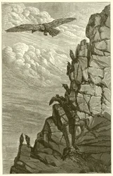Der Adler und die Krähe