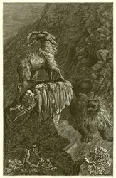 Die Ziege und der Löwe