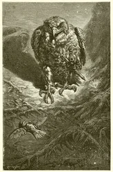Der Falke und die Nachtigall